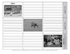 Leporello-Zebra-3-1-2.pdf